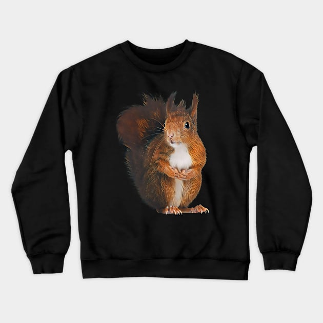 Squirrel - Woodland Themed Kids Room, Funny Gifts For Forester, Cute Animals Crewneck Sweatshirt by Shirtsmania